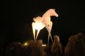 Fiers a Cheval 7 * 5184 x 3456 * (4.53MB)